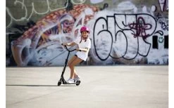 Micro Sprite Deluxe Klappbarer Scooter -Outwell Store 536068 3535895