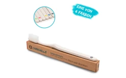 Chinchilla Zahnbürste Biologisch Abbaubar 1 Stück -Outwell Store 607831 4419179