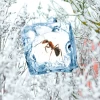 Swissinno Insekten Frostspray - Insektizidfrei- -Outwell Store 693758 4834277